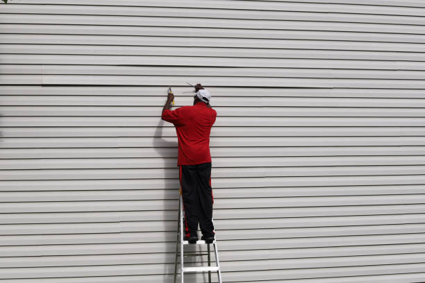 Best Stucco Siding  in Panguitch, UT